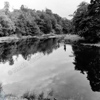 Fishing, River Swale, Easby